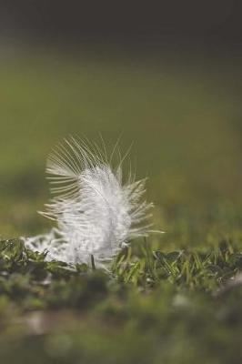 Book cover for The Feather Journal