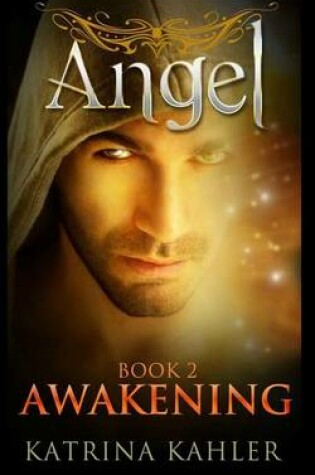 Cover of Angel Book 2 - Awakening
