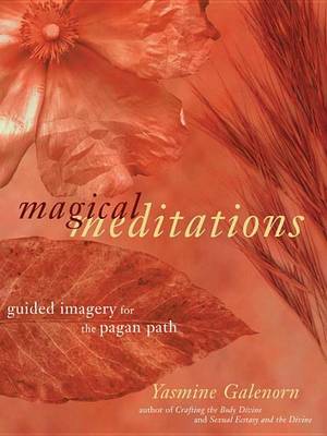 Book cover for Magical Meditations