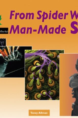 Cover of From Spider Webs to Man-Made Silk