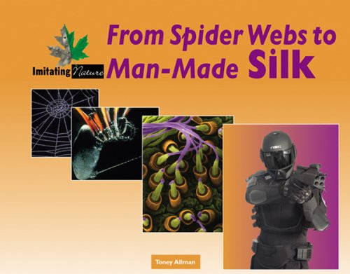 Book cover for From Spider Webs to Man-Made Silk