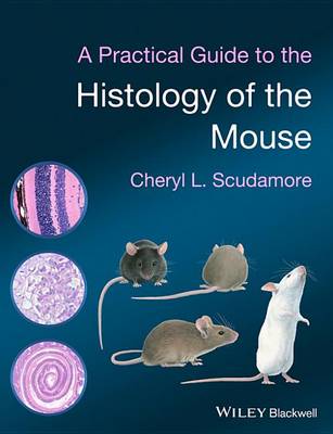 Book cover for A Practical Guide to the Histology of the Mouse