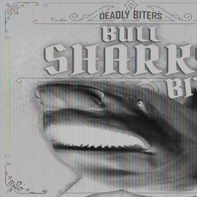 Cover of Bull Sharks Bite!