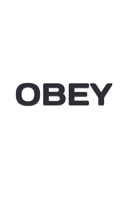 Book cover for Obey