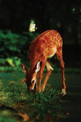 Cover of Roadside Fawn Notebook