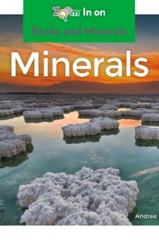 Cover of Minerals