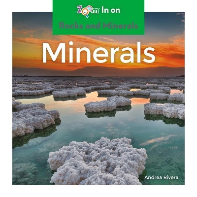 Cover of Minerals