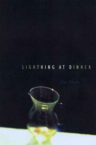 Cover of Lightning at Dinner