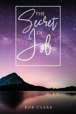 Book cover for The Secret of Job