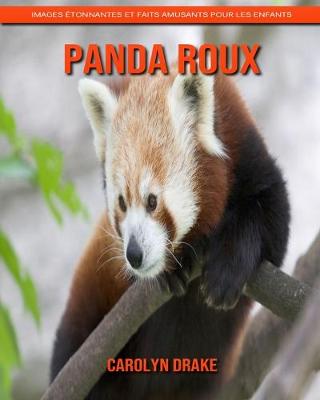 Book cover for Panda Roux
