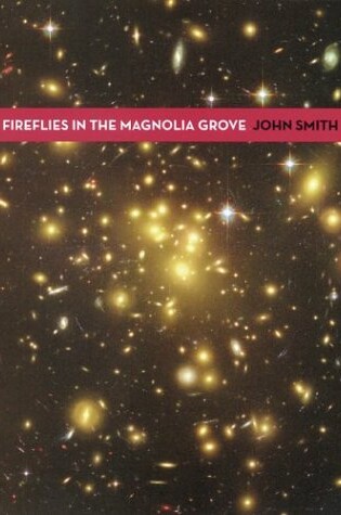 Cover of Fireflies in the Magnolia Grov