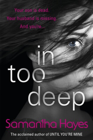 Cover of In Too Deep