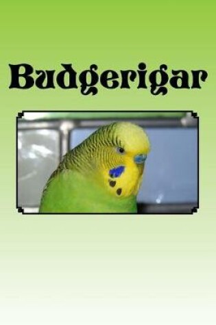 Cover of Budgerigar