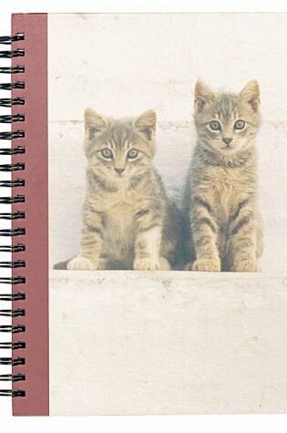 Cover of Kittens in the Sun Journal