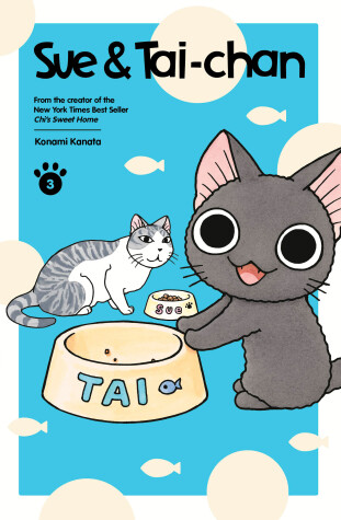 Book cover for Sue & Tai-chan 3