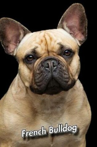 Cover of French Bulldog