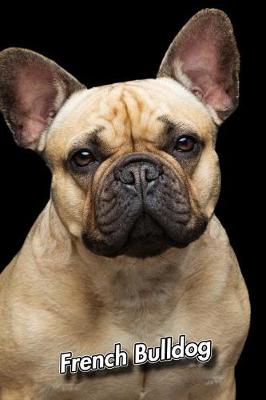 Book cover for French Bulldog