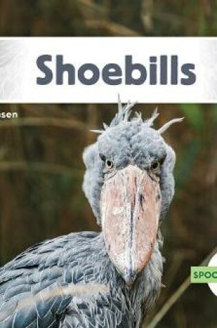 Cover of Shoebills