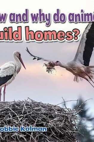 Cover of How and Why Do Animals Build Homes?