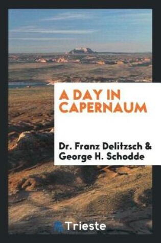 Cover of A Day in Capernaum