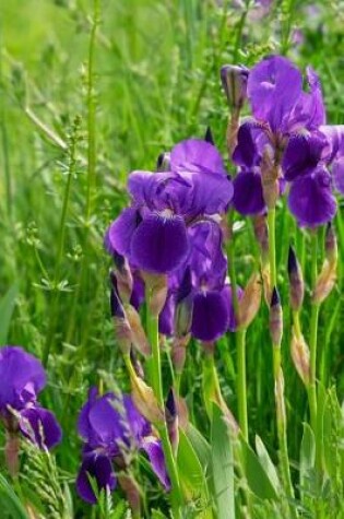 Cover of Purple Iris Flowers Blooming in the Grass Journal