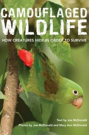 Cover of Camouflaged Wildlife