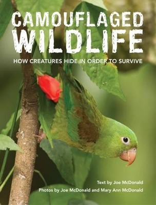 Book cover for Camouflaged Wildlife