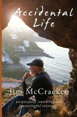 Cover of Accidental Life