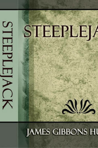 Cover of Steeplejack