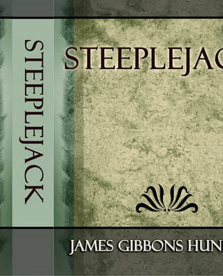 Book cover for Steeplejack