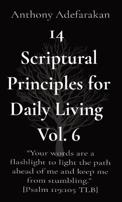 Book cover for 14 Scriptural Principles for Daily Living Vol. 6