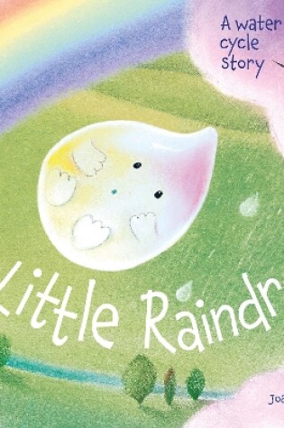 Cover of The Little Raindrop - A water cycle story