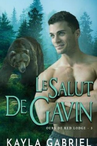 Cover of Le Salut de Gavin