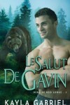 Book cover for Le Salut de Gavin