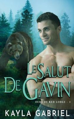 Book cover for Le Salut de Gavin