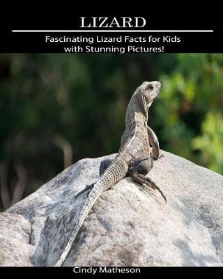 Book cover for Lizard