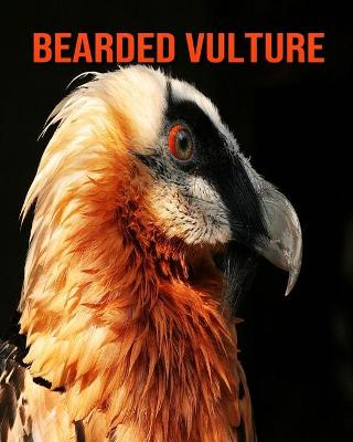 Book cover for Bearded Vulture