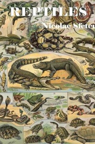 Cover of Reptiles - Crocodiles, Alligators, Lizards, Snakes, Turtles