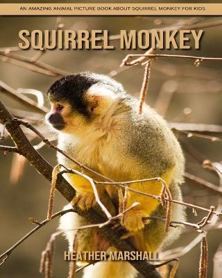 Book cover for Squirrel Monkey