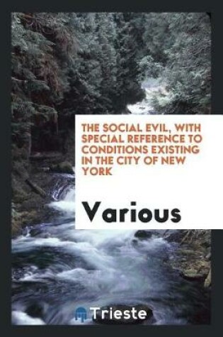 Cover of The Social Evil, with Special Reference to Conditions Existing in the City of New York