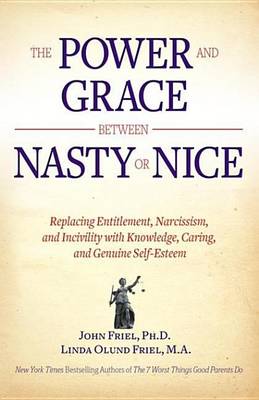 Book cover for The Power and Grace Between Nasty or Nice