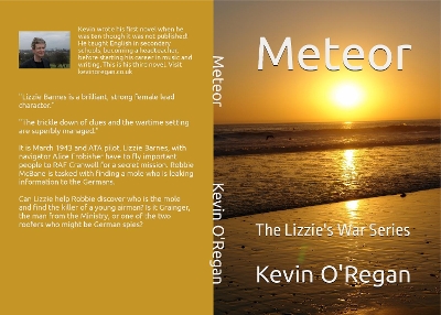 Cover of Meteor