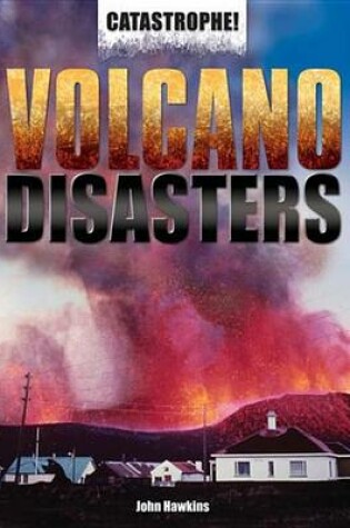 Cover of Volcano Disasters