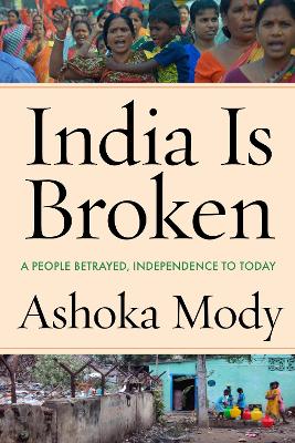 Book cover for India Is Broken