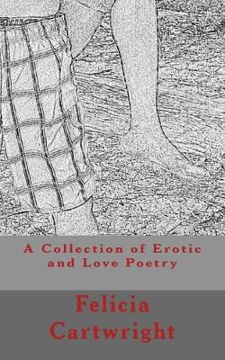 Book cover for A Collection of Erotic and Love Poetry