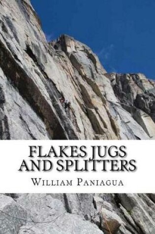 Cover of Flakes Jugs and Splitters