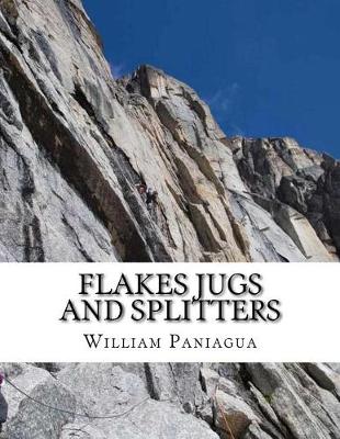 Book cover for Flakes Jugs and Splitters