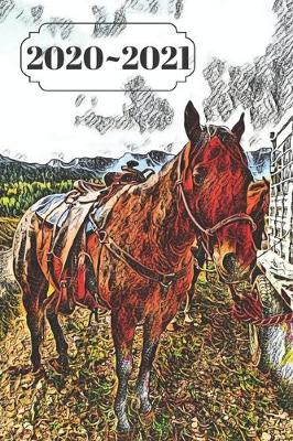 Book cover for Brown Horse in Rocky Mountains Dated Calendar Planner 2 years To-Do Lists, Tasks, Notes Appointments