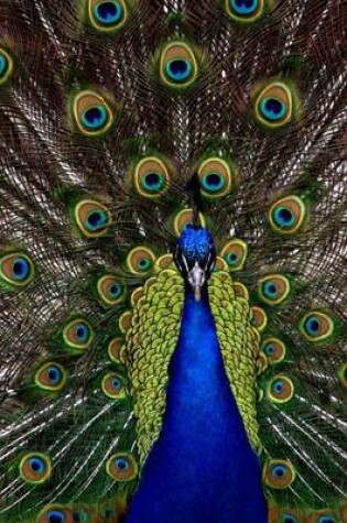 Cover of Peacock in Display, Birds of the World