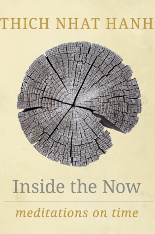 Cover of Inside the Now